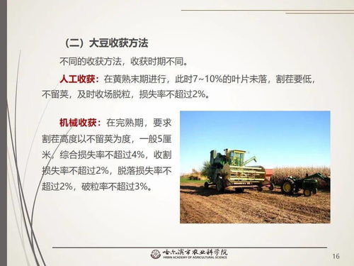 黨建引領(lǐng)謀發(fā)展 科技助農(nóng)備春耕 網(wǎng)絡(luò)課堂 大豆生產(chǎn)百問百答