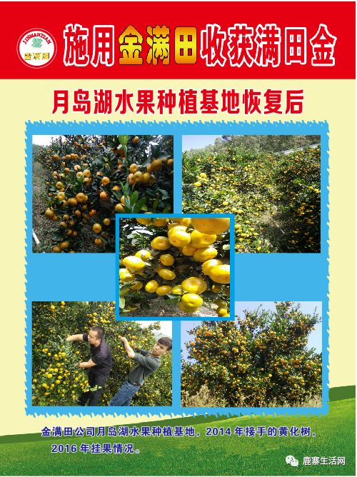 是什么讓這個基地碩果累累？鹿寨柑橘大咖現場授課，誠邀您來參加